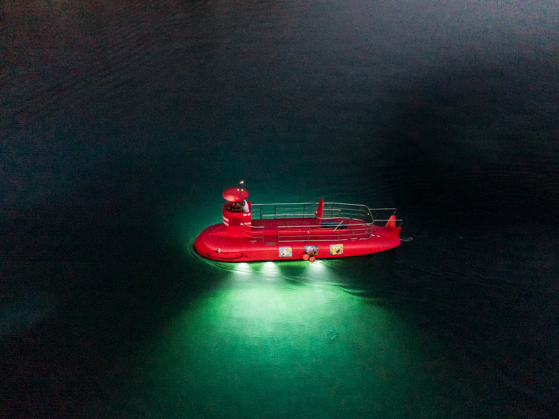 Marine life through the windows